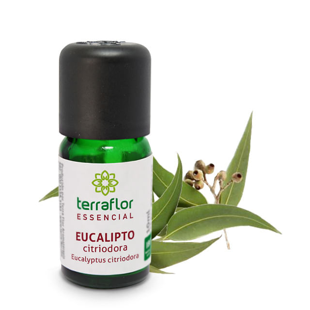 Encontraproduto.com.br - Óleo Essencial de Eucalipto Citriodora 10ml Terra Flor